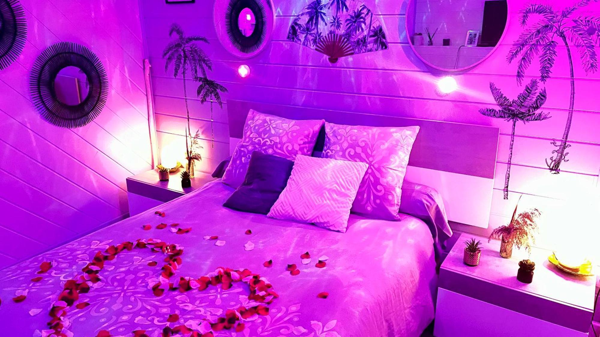 Un Mirage Tropical En Bord De Loire, Love Et Detente Saint-Clément-des-Levées 外观 照片