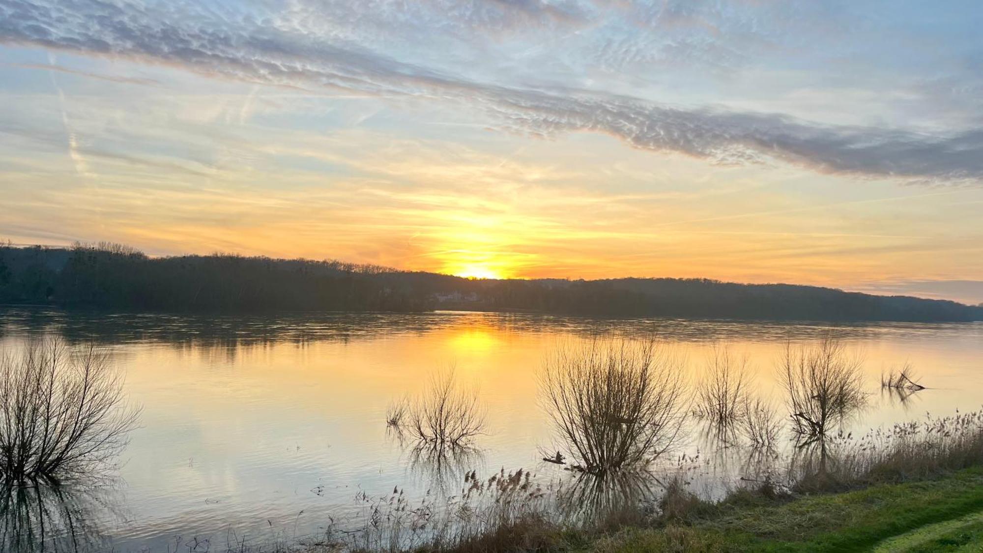 Un Mirage Tropical En Bord De Loire, Love Et Detente Saint-Clément-des-Levées 外观 照片